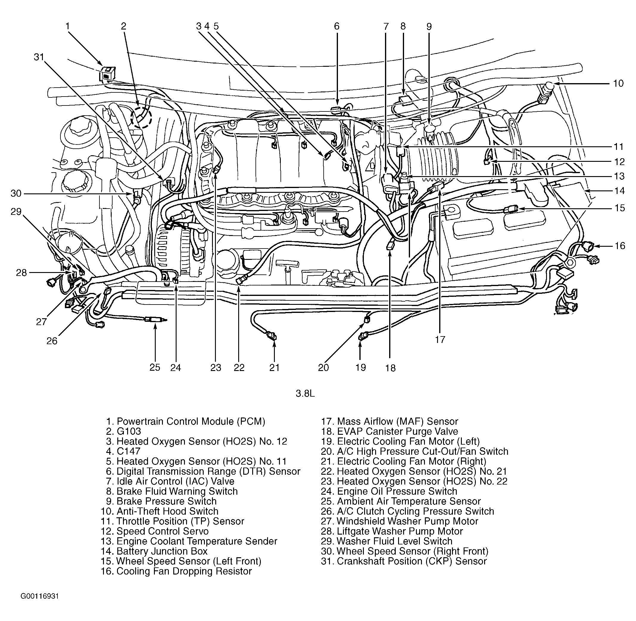 G00116931