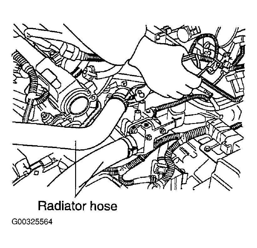 G00325564
