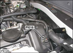 G00454553