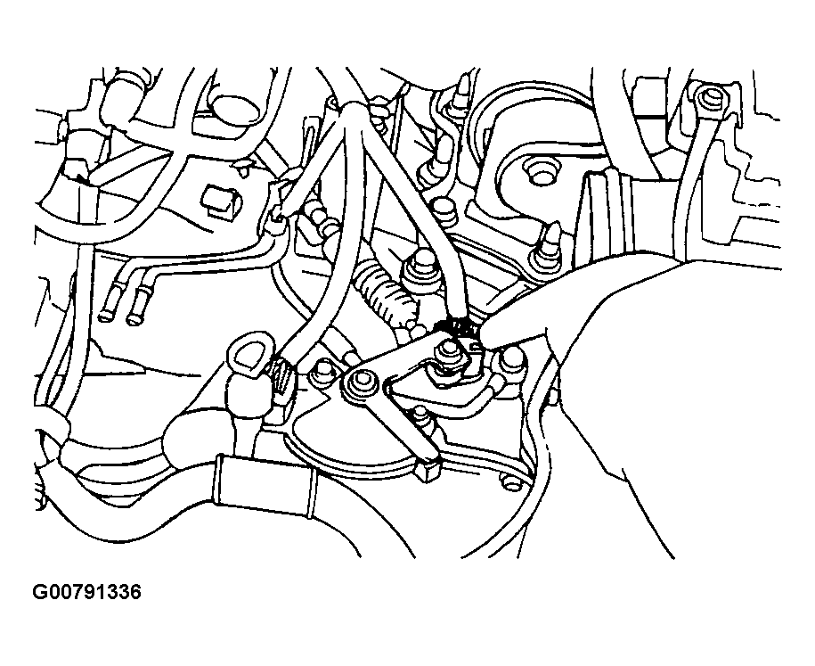 G00791336