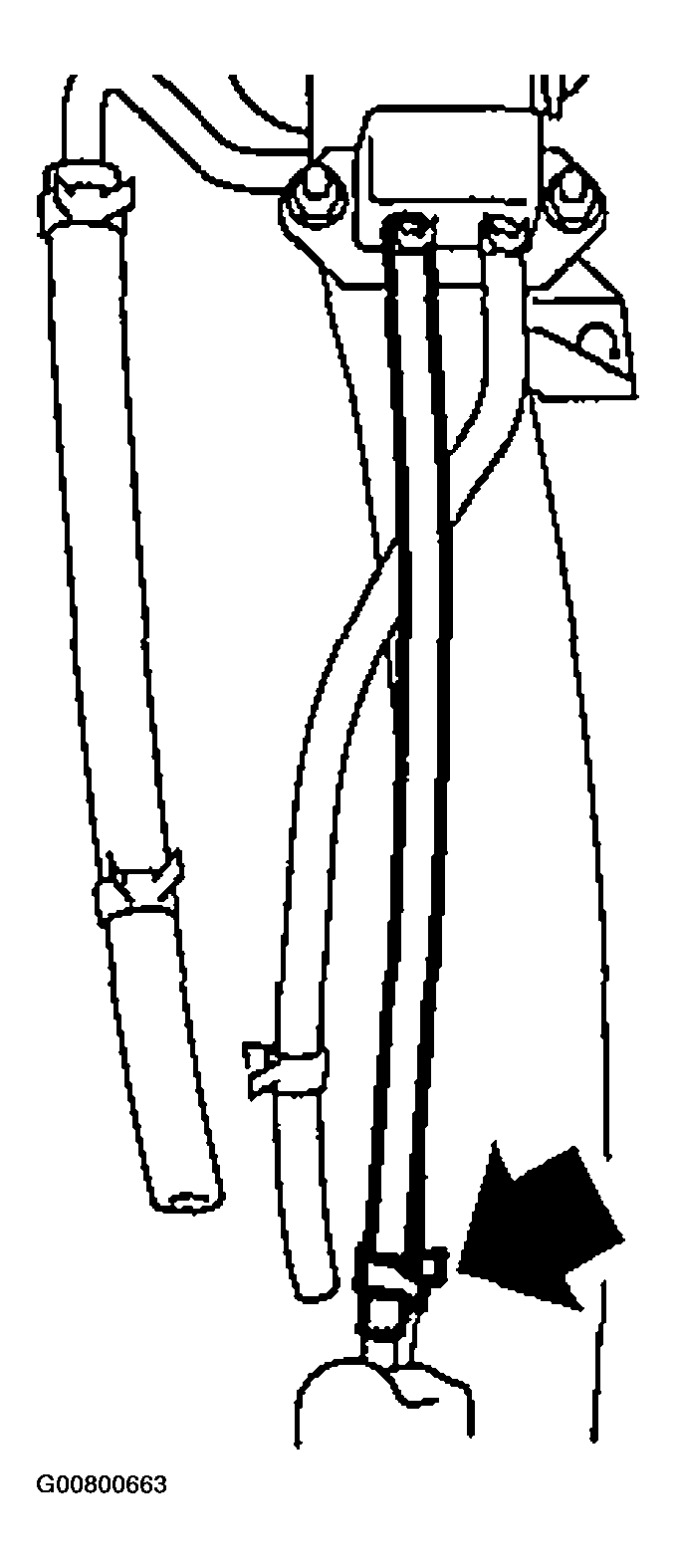 G00800663