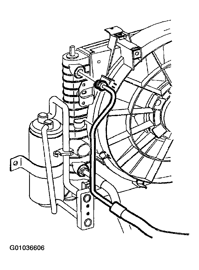 G01036606