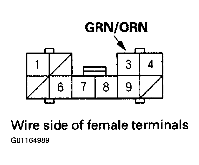 G01164989