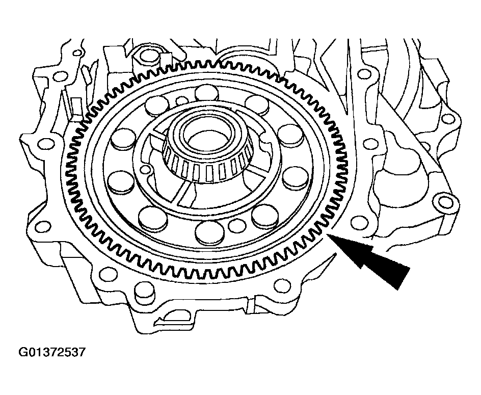 G01372537