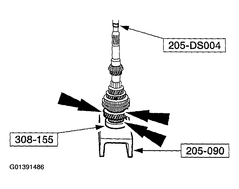 G01391486