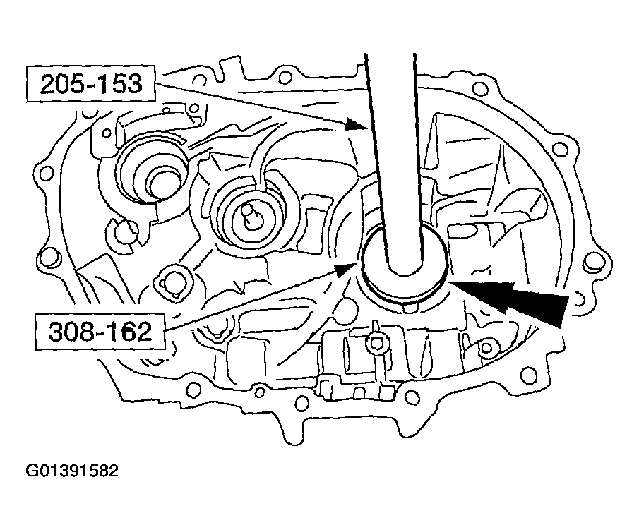 G01391582