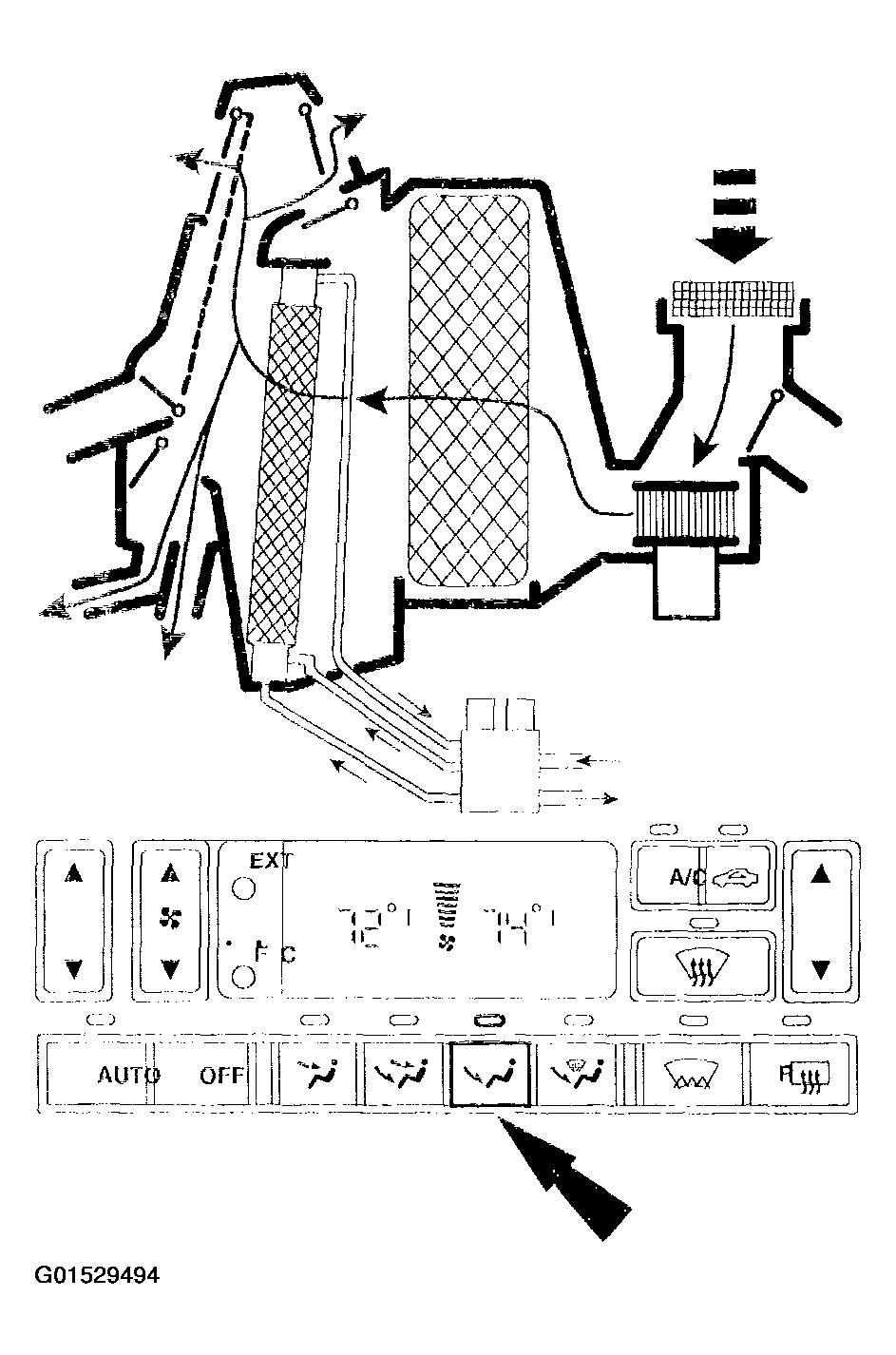 G01529494