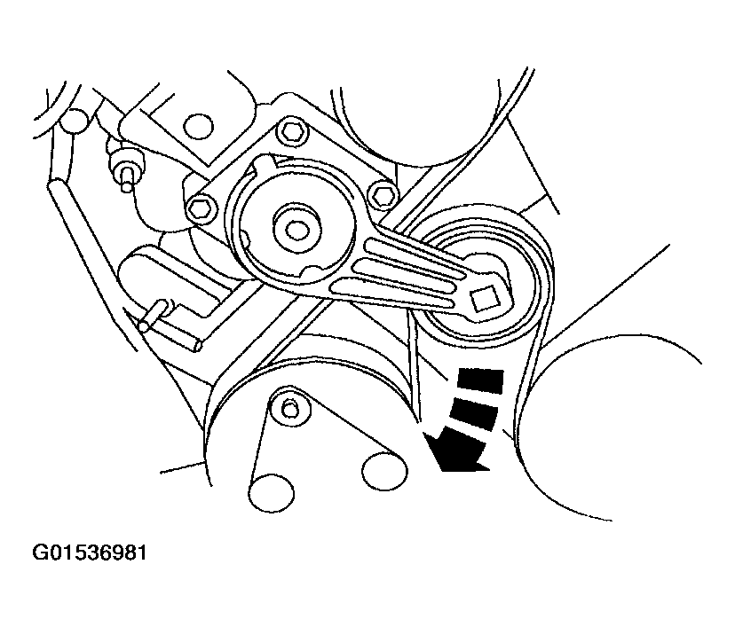 G01536981