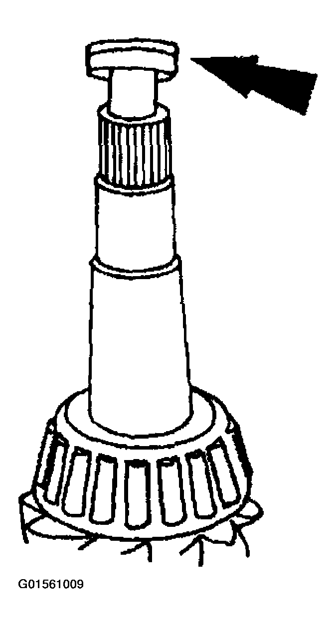 G01561009