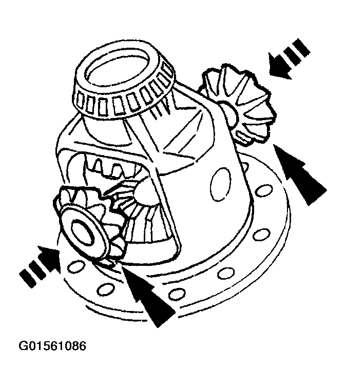 G01561086
