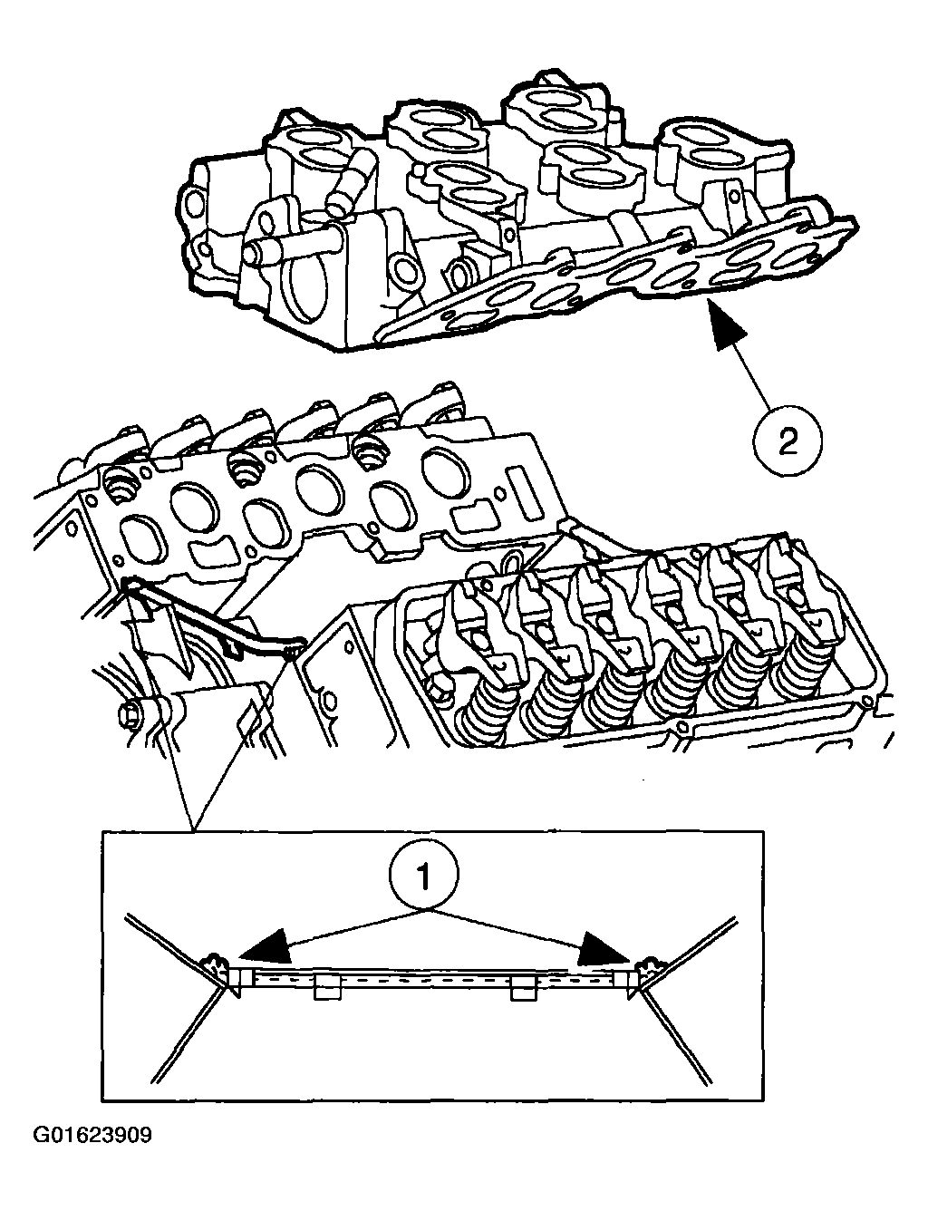 G01623909