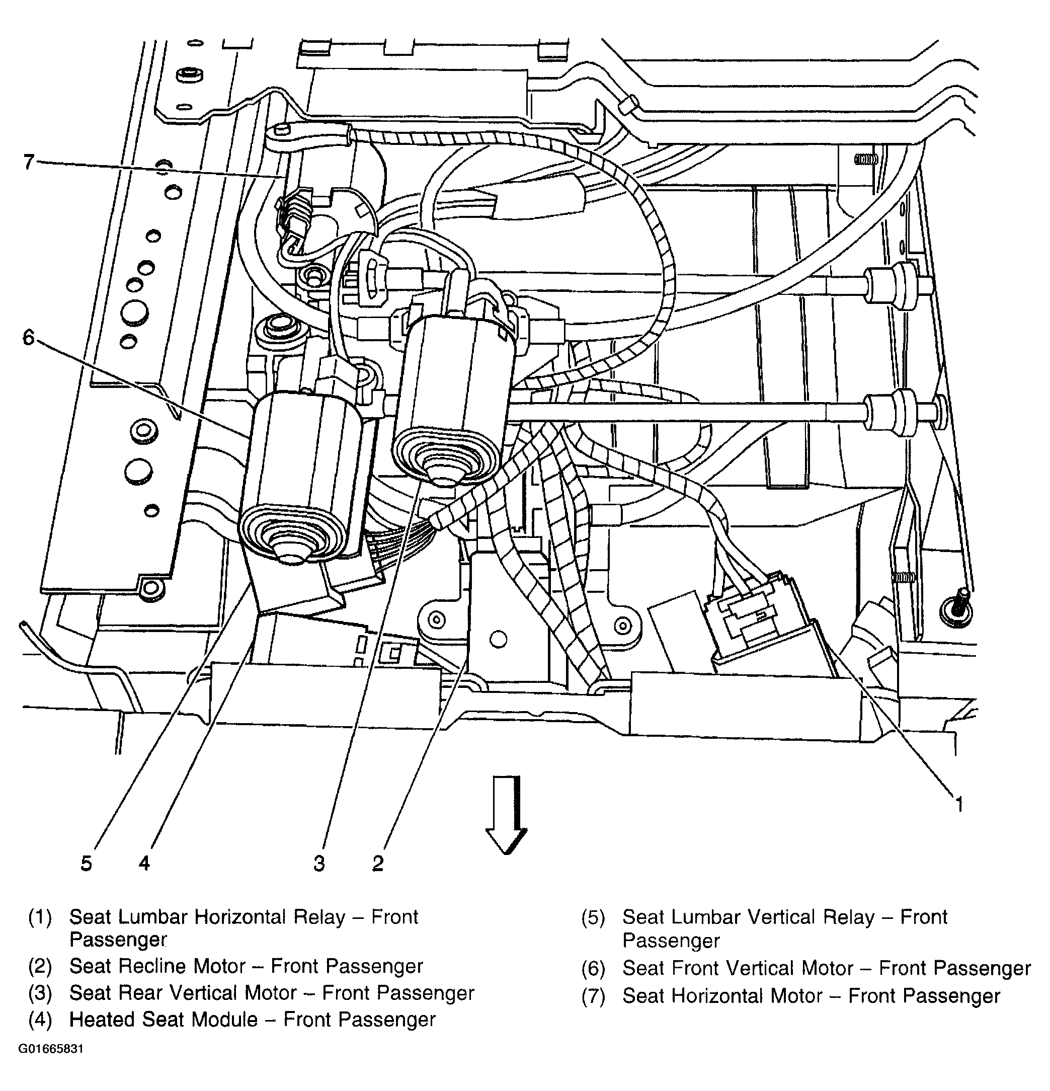 G01665831