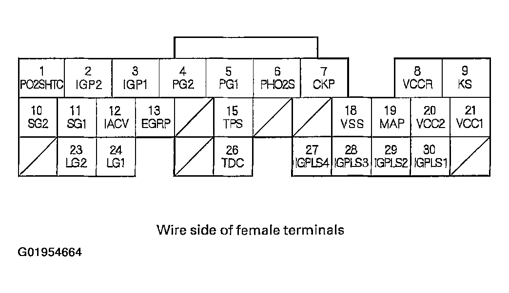 G01954664