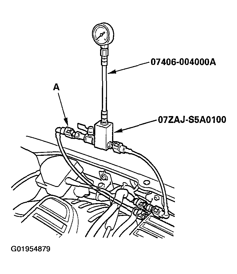 G01954879
