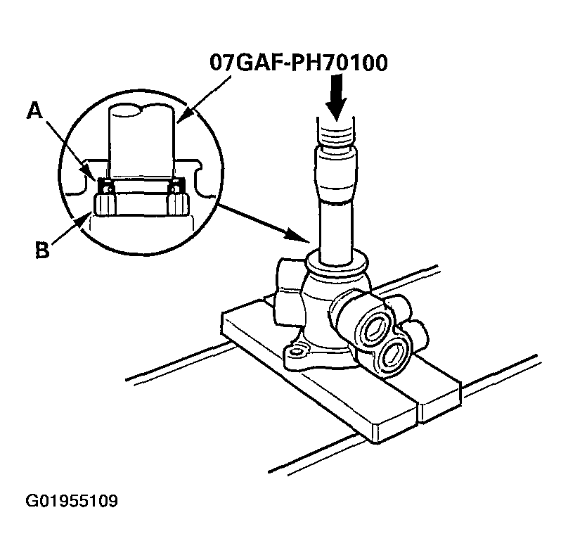 G01955109