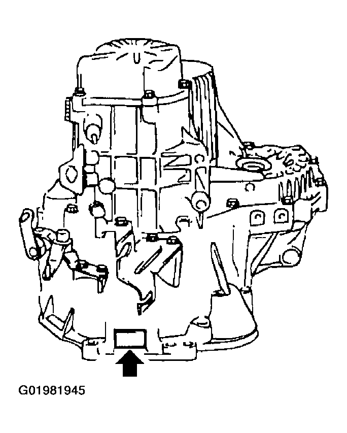 G01981945