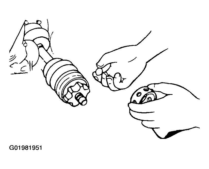 G01981951