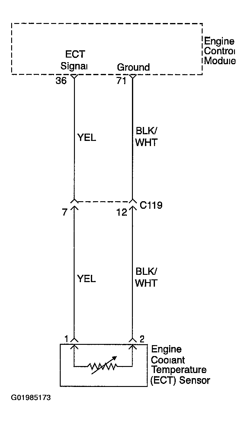 G01985173