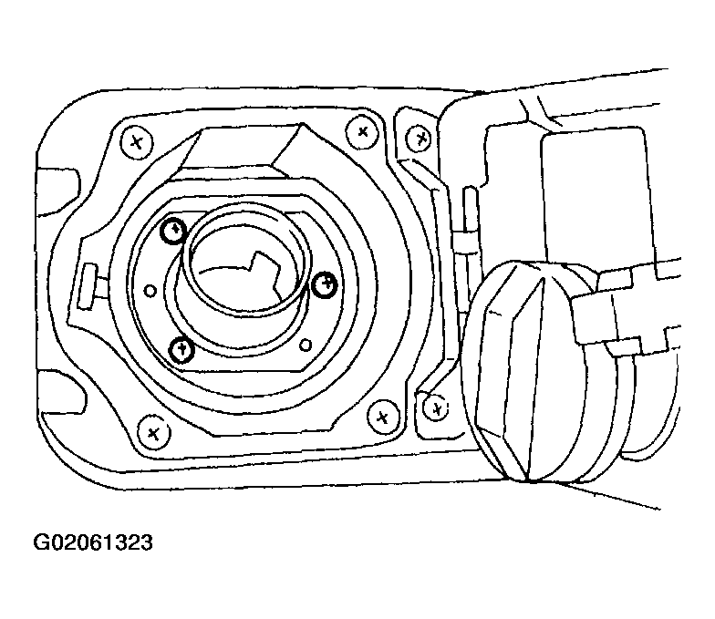 G02061323