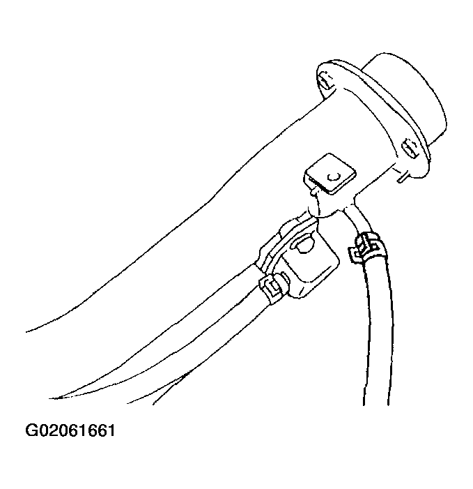 G02061661