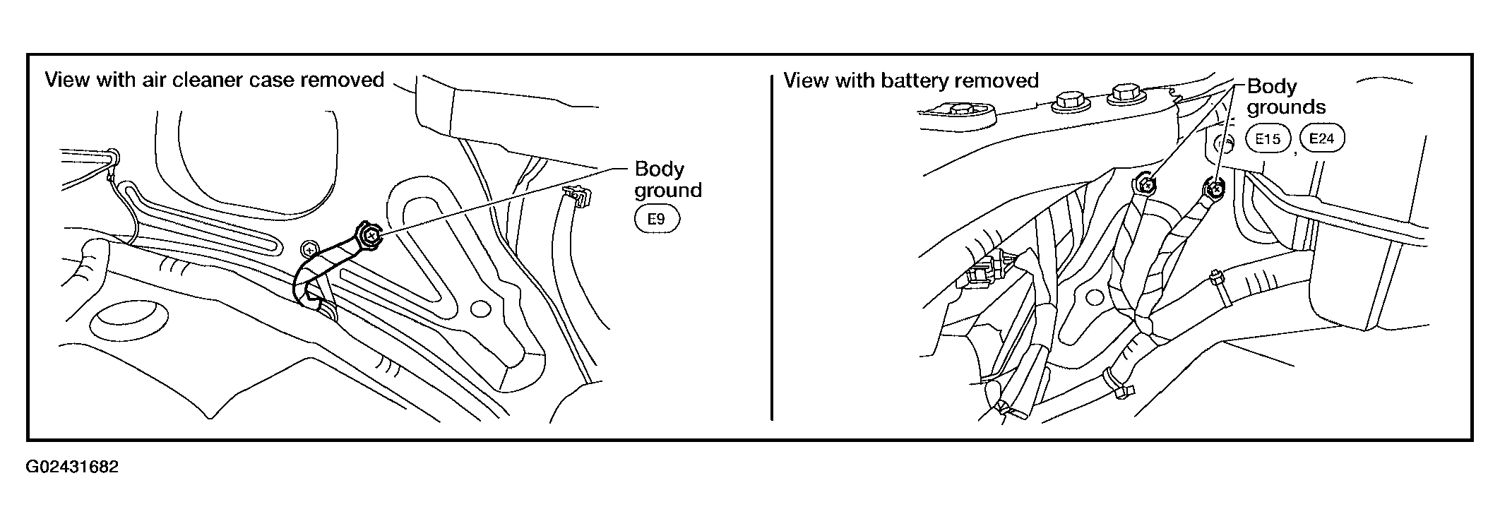 G02431682