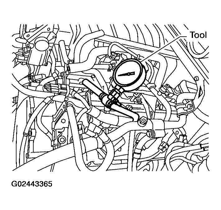 G02443365
