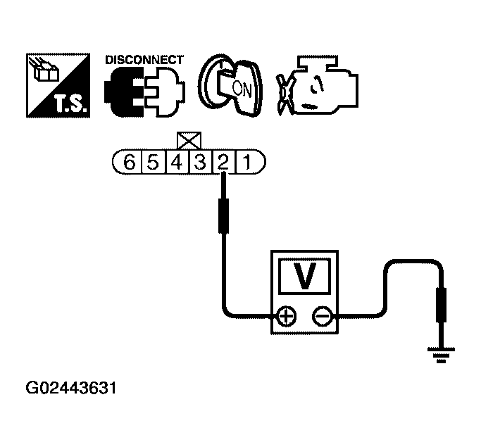 G02443631