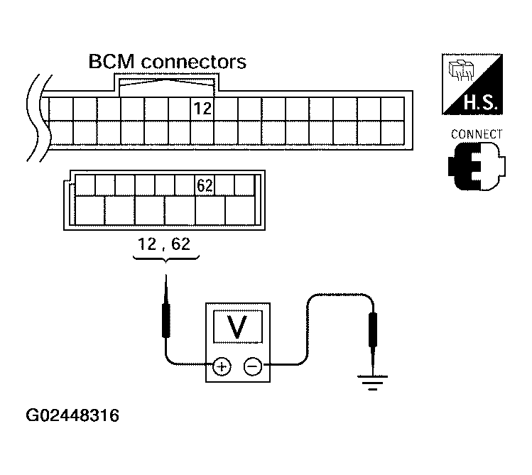 G02448316