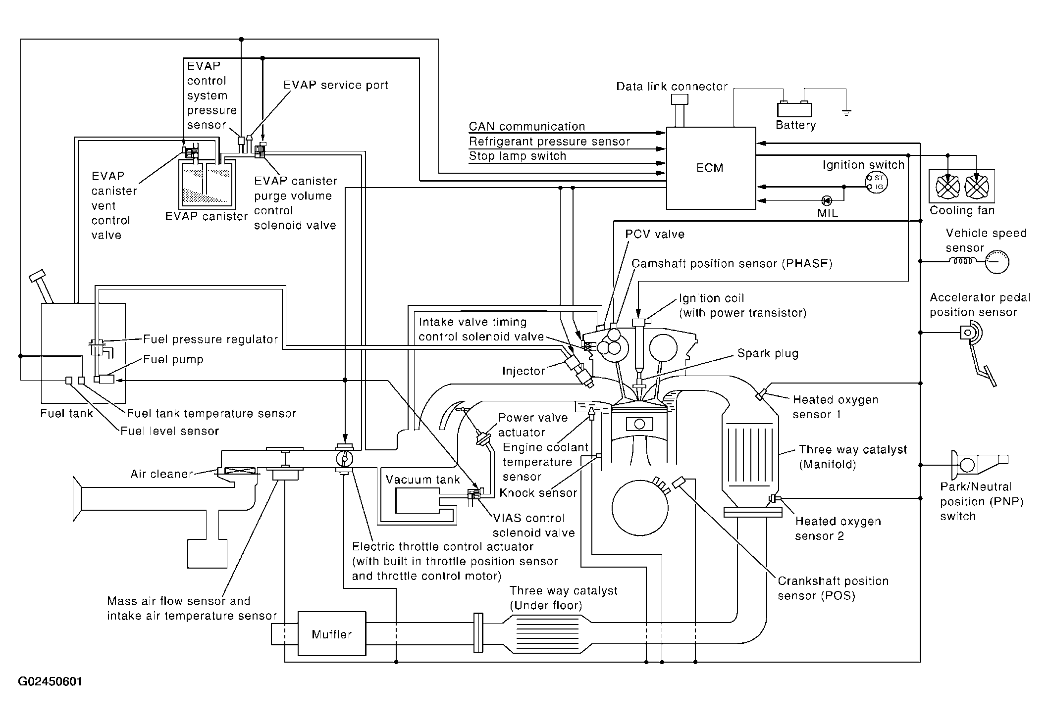 G02450601