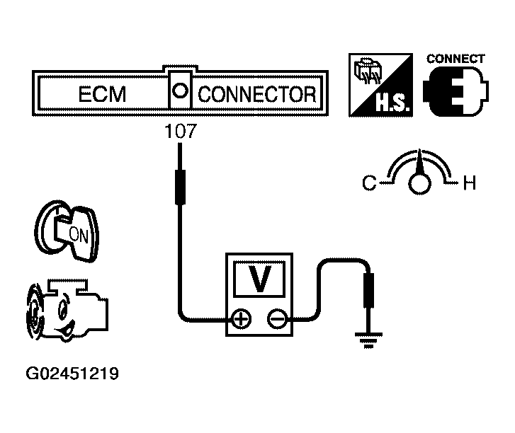 G02451219