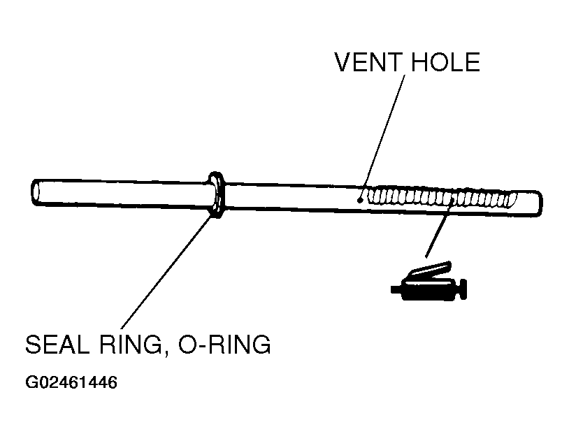 G02461446