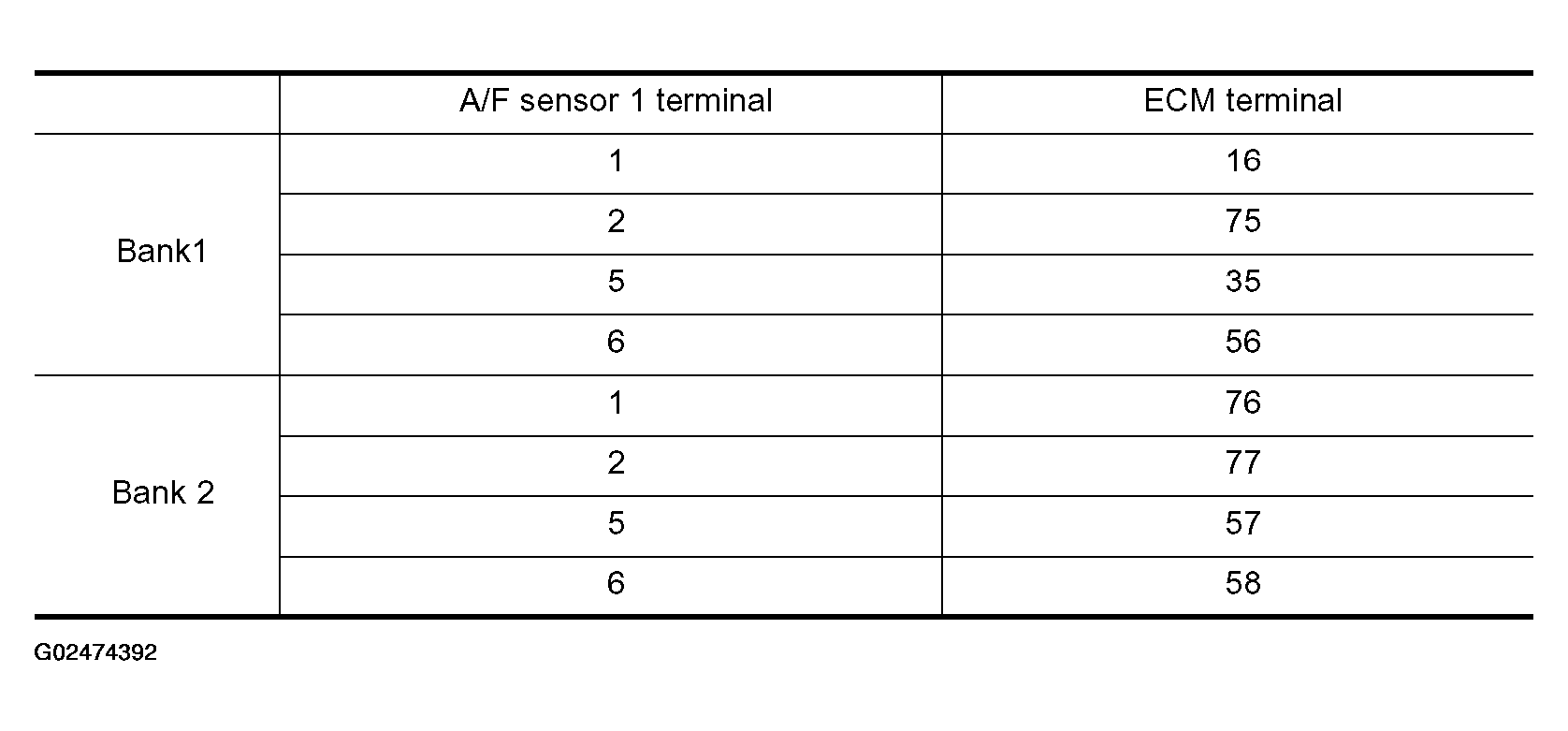 G02474392
