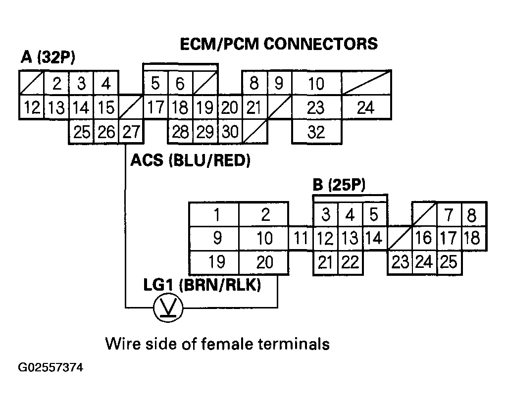 G02557374