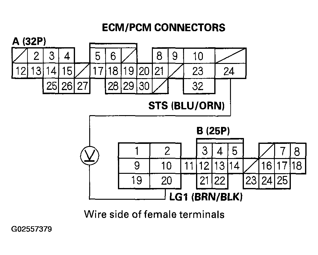 G02557379