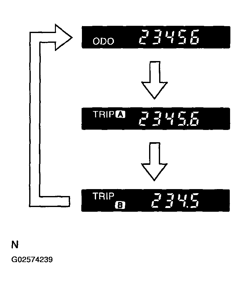 G02574239