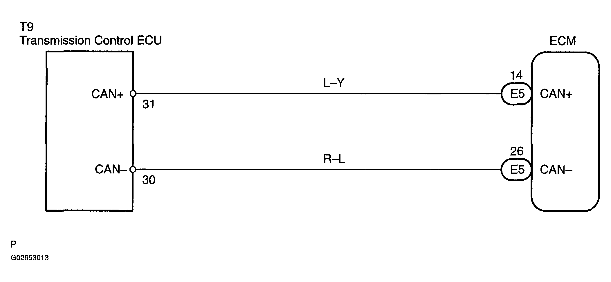 G02653013