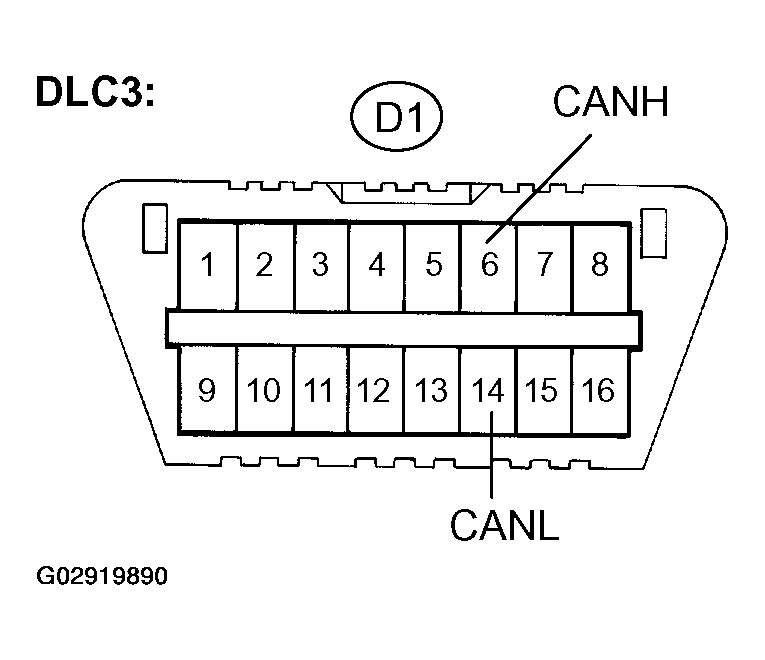 G02919890