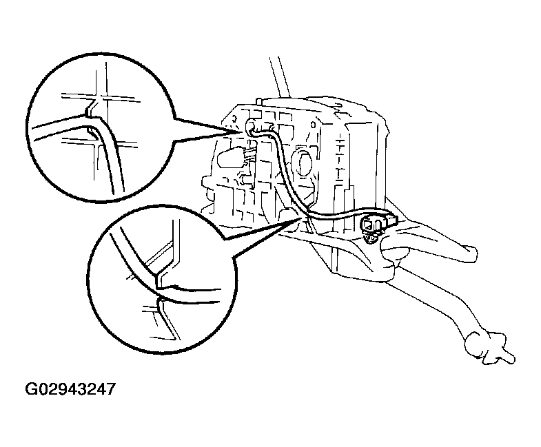 G02943247