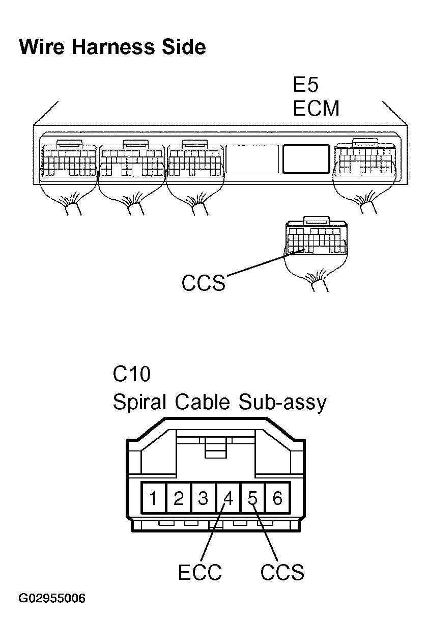 G02955006
