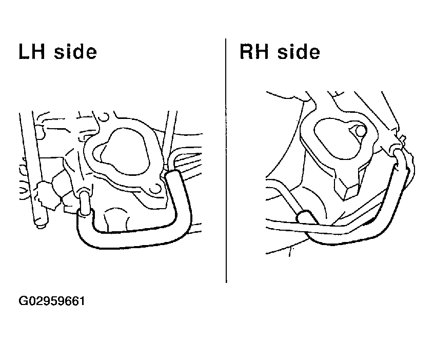 G02959661