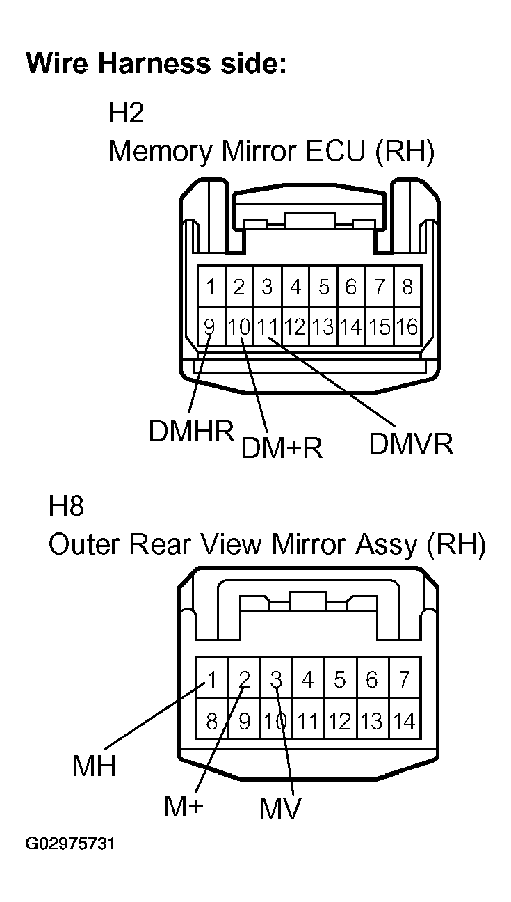 G02975731
