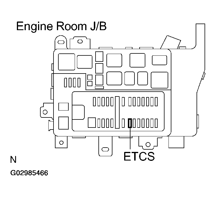 G02985466