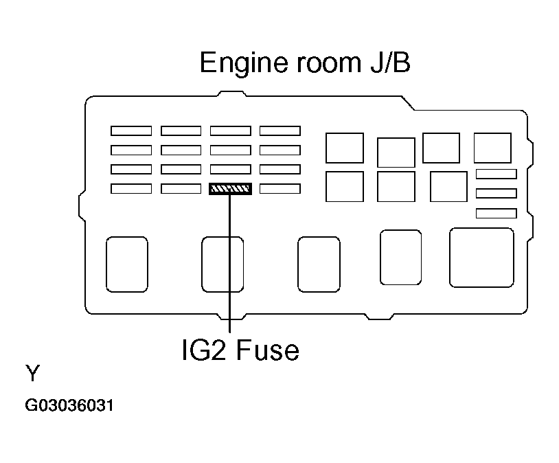 G03036031