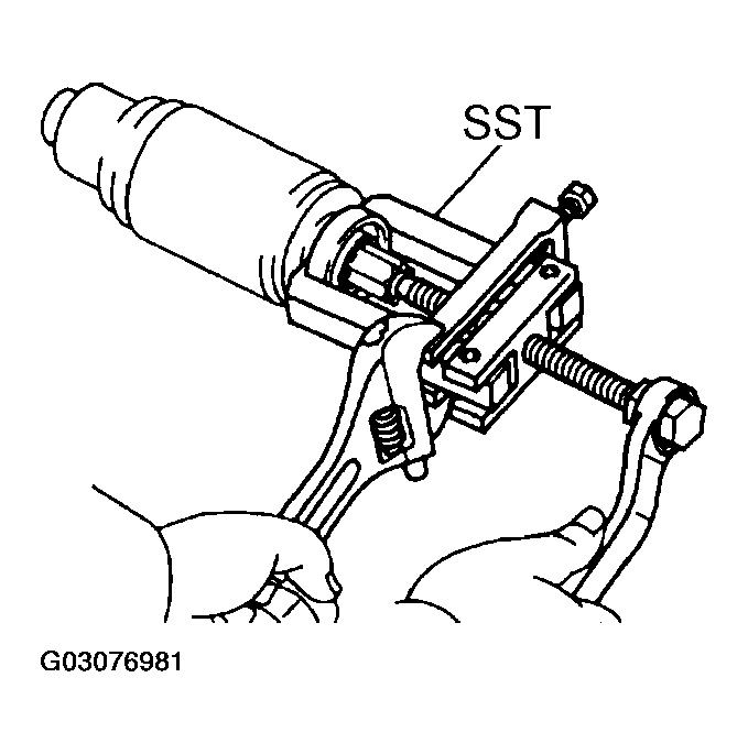 G03076981