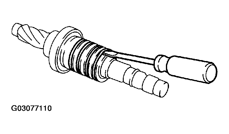 G03077110