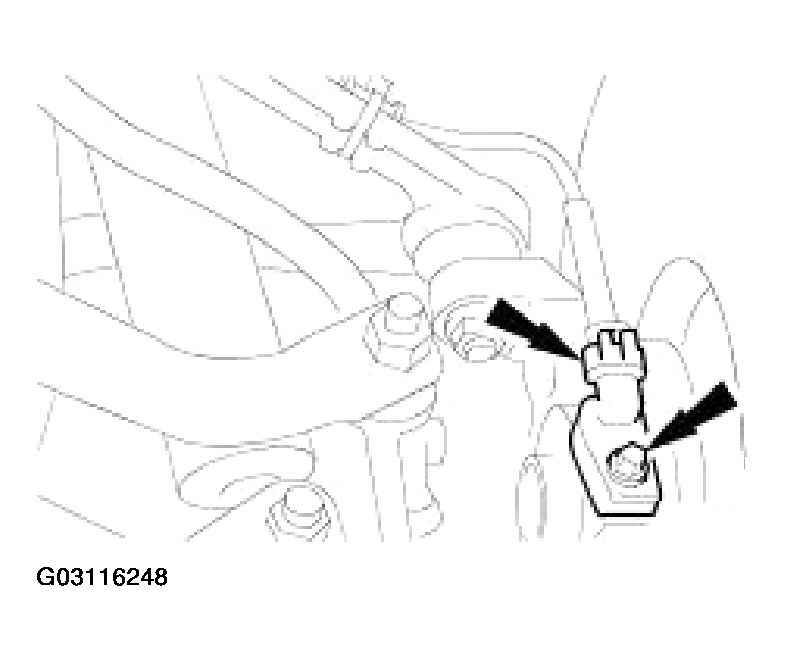 G03116248