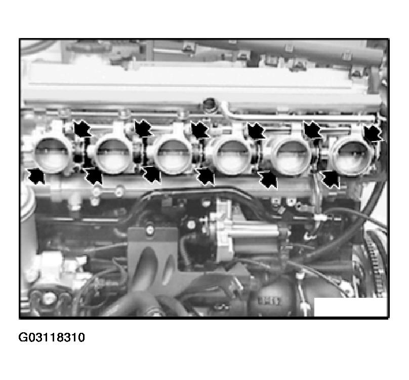 G03118310