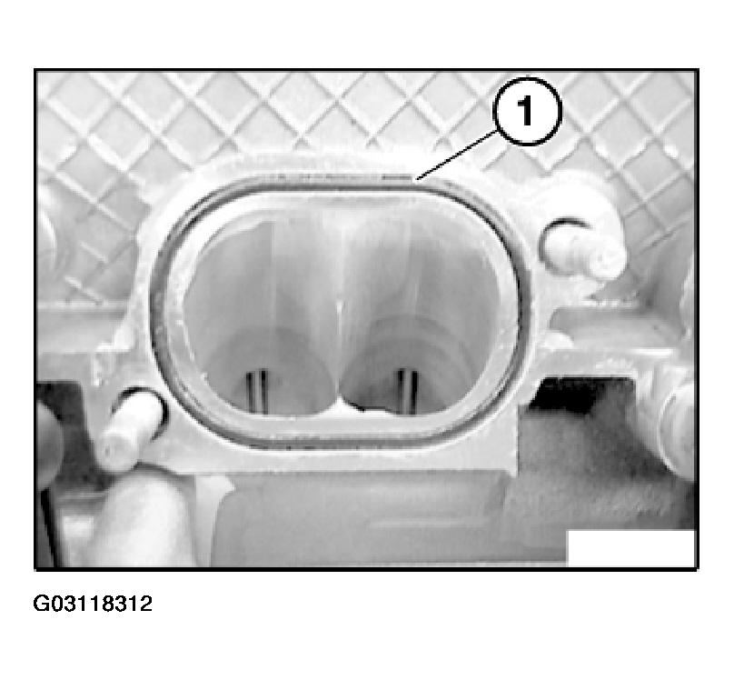 G03118312