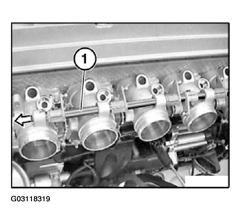 G03118319