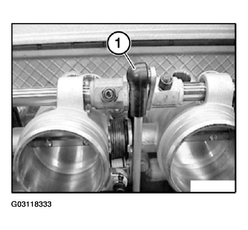 G03118333